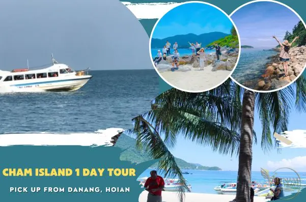 1 day trip Cham Island from Danang or Hoian